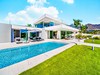 Villa Palmitas #3